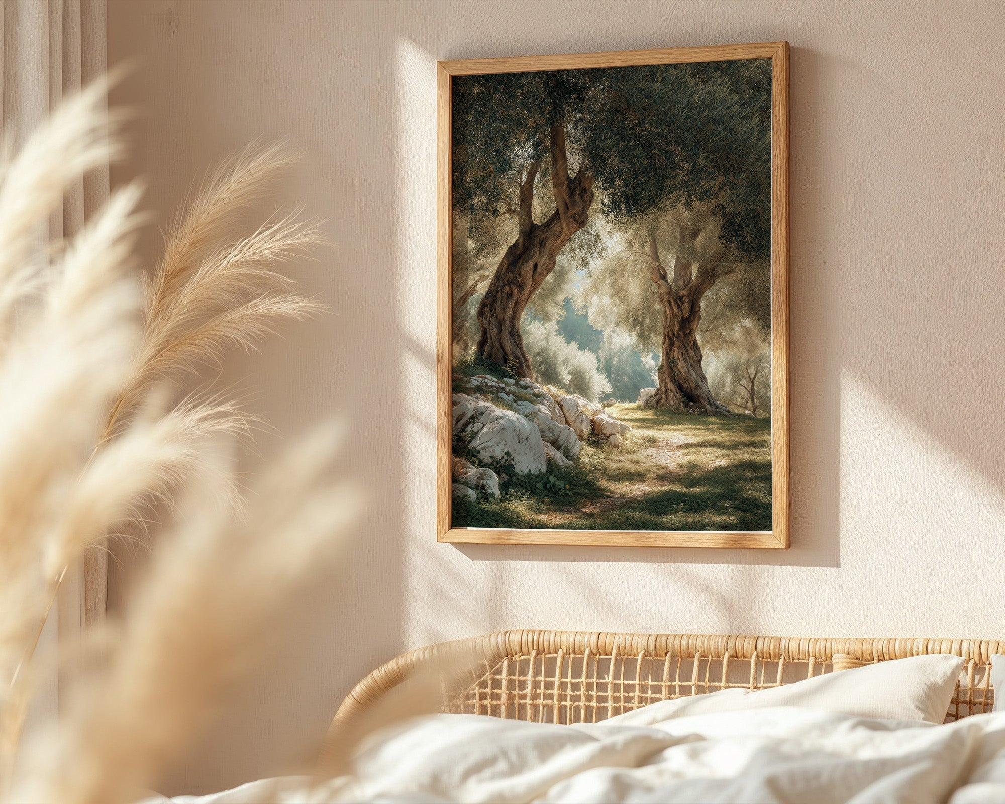 Olive Grove