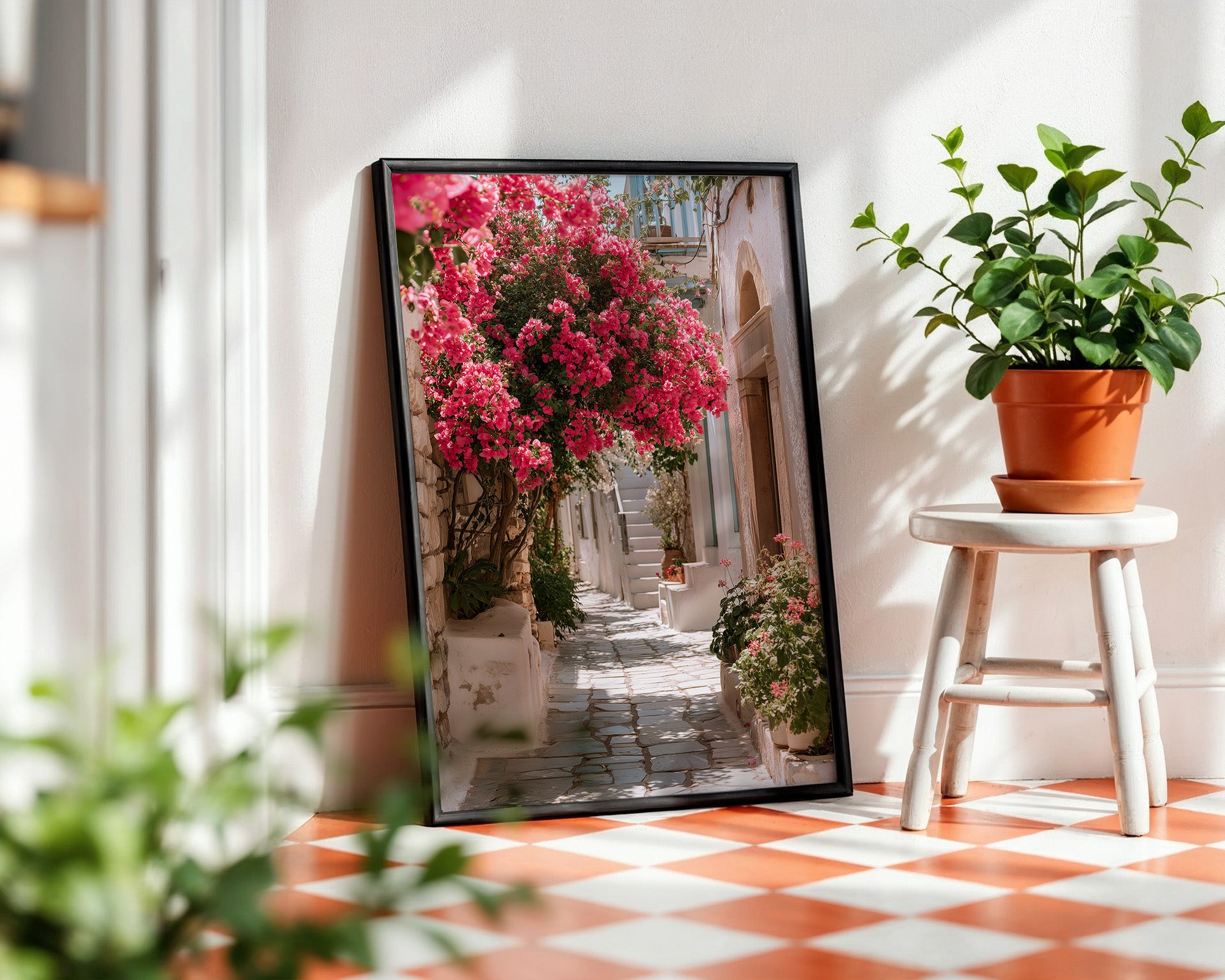 Bougainvillea Alley