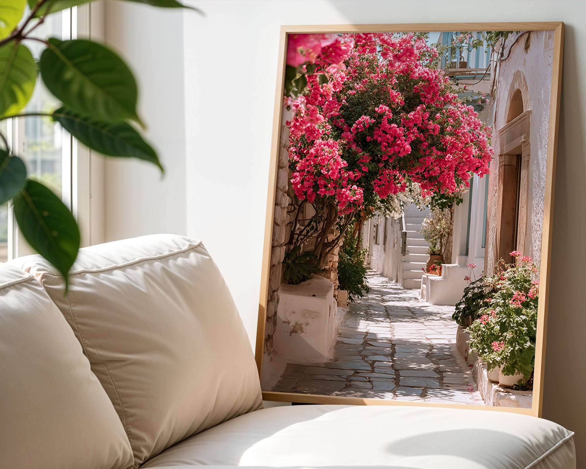 Bougainvillea Alley